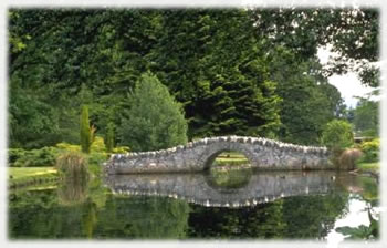 �A���}�I�C���X�ї�